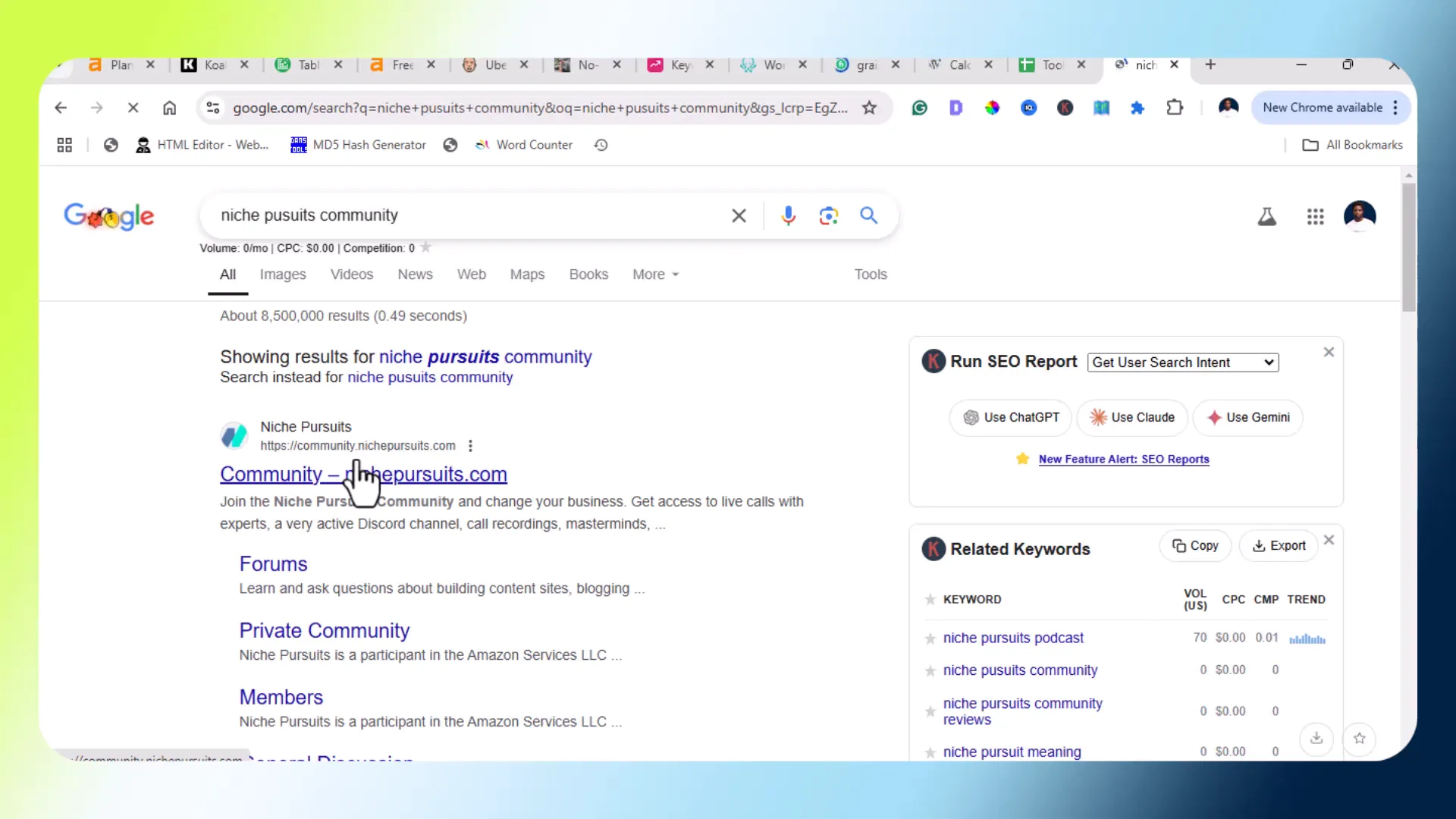 Niche Pursuit Community interface
